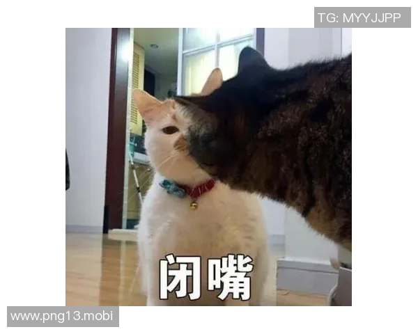 真的笑鼠！邱彪：求求你们啦🙏，闭嘴闭嘴闭嘴闭嘴！